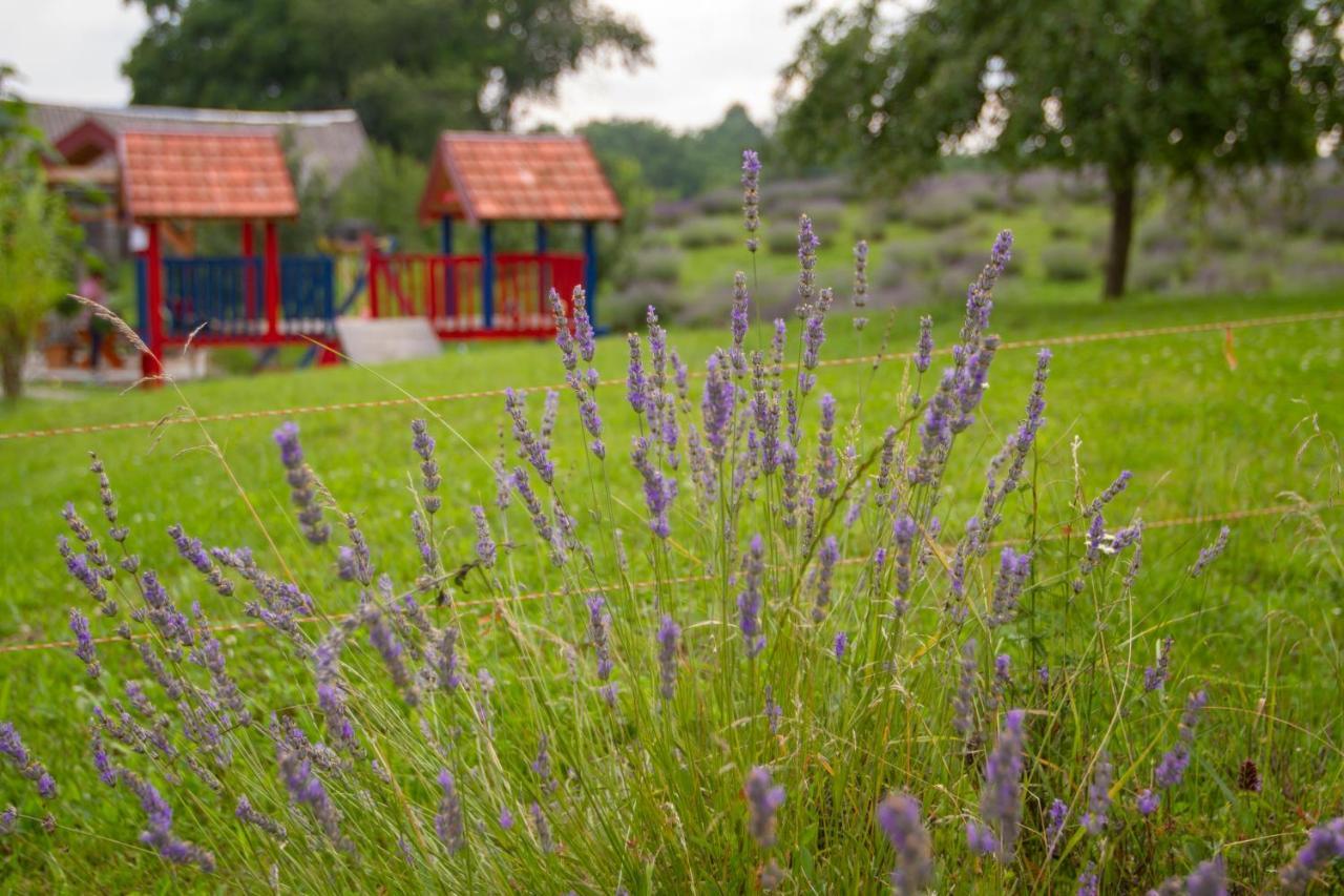 Lavanda Farm Apartmani Rakovica Buitenkant foto