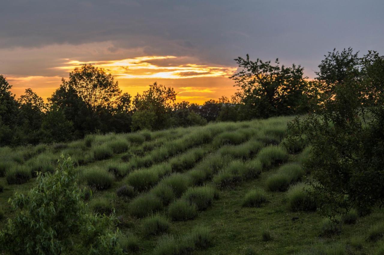 Lavanda Farm Apartmani Rakovica Buitenkant foto