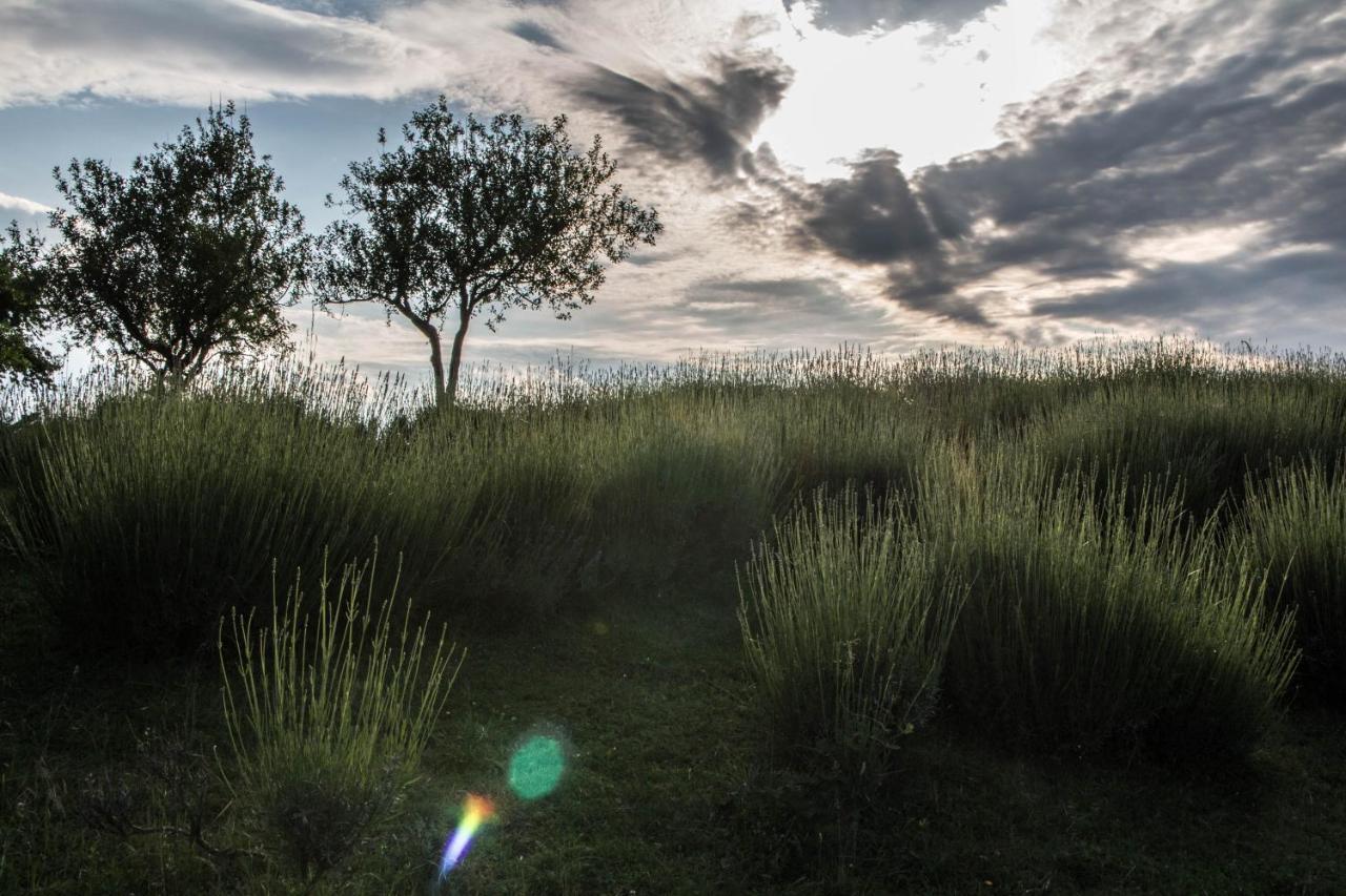 Lavanda Farm Apartmani Rakovica Buitenkant foto