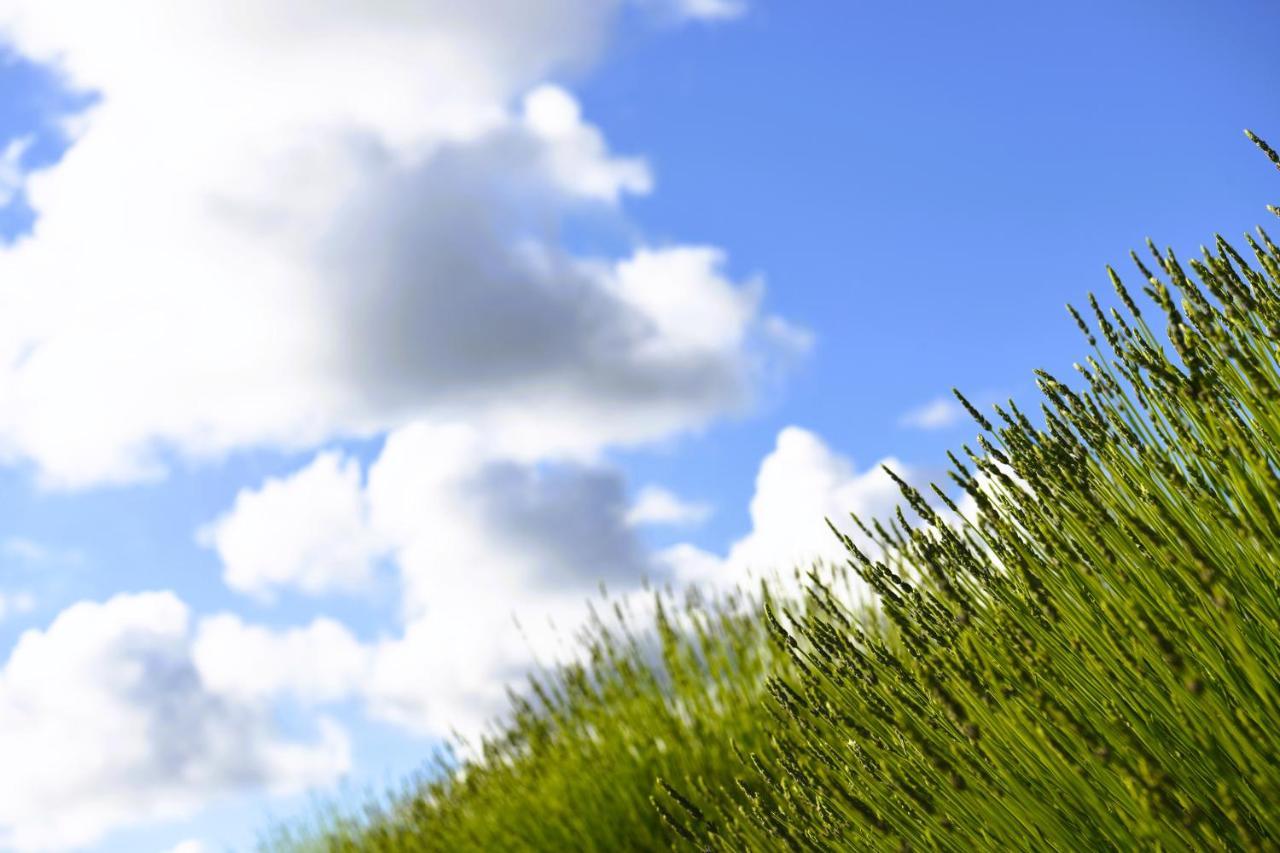 Lavanda Farm Apartmani Rakovica Buitenkant foto