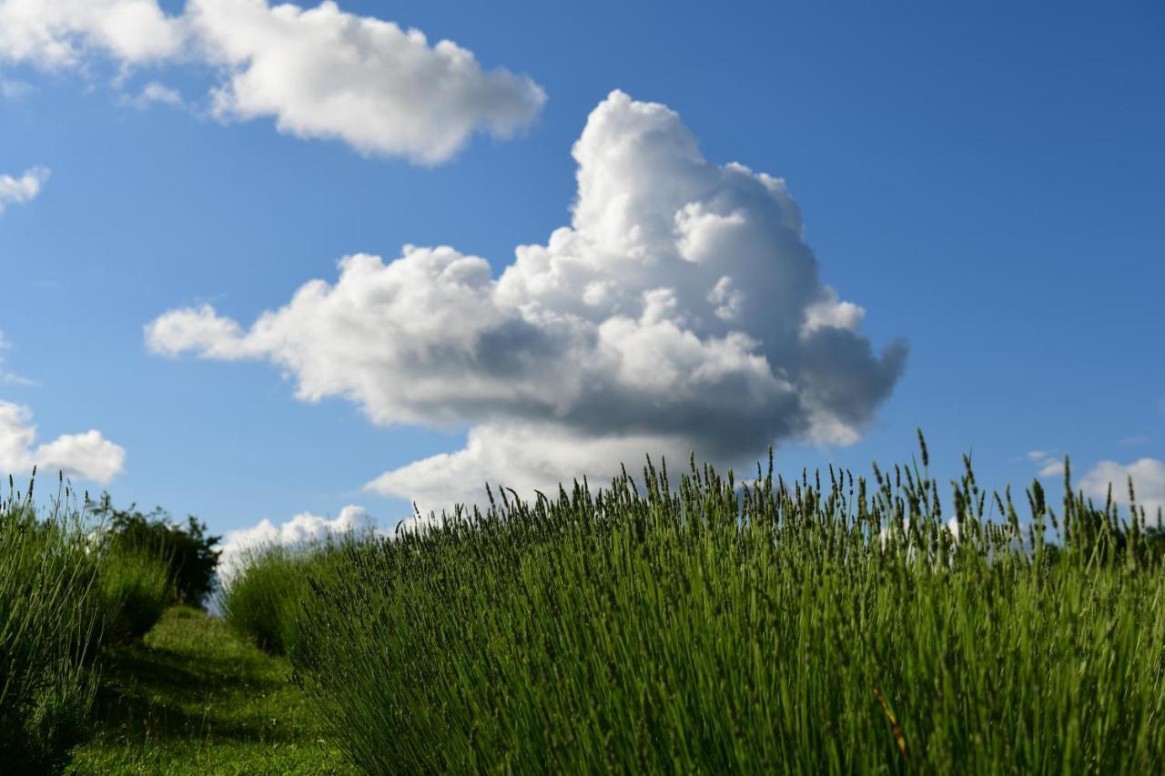 Lavanda Farm Apartmani Rakovica Buitenkant foto