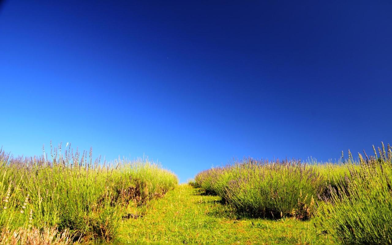 Lavanda Farm Apartmani Rakovica Buitenkant foto