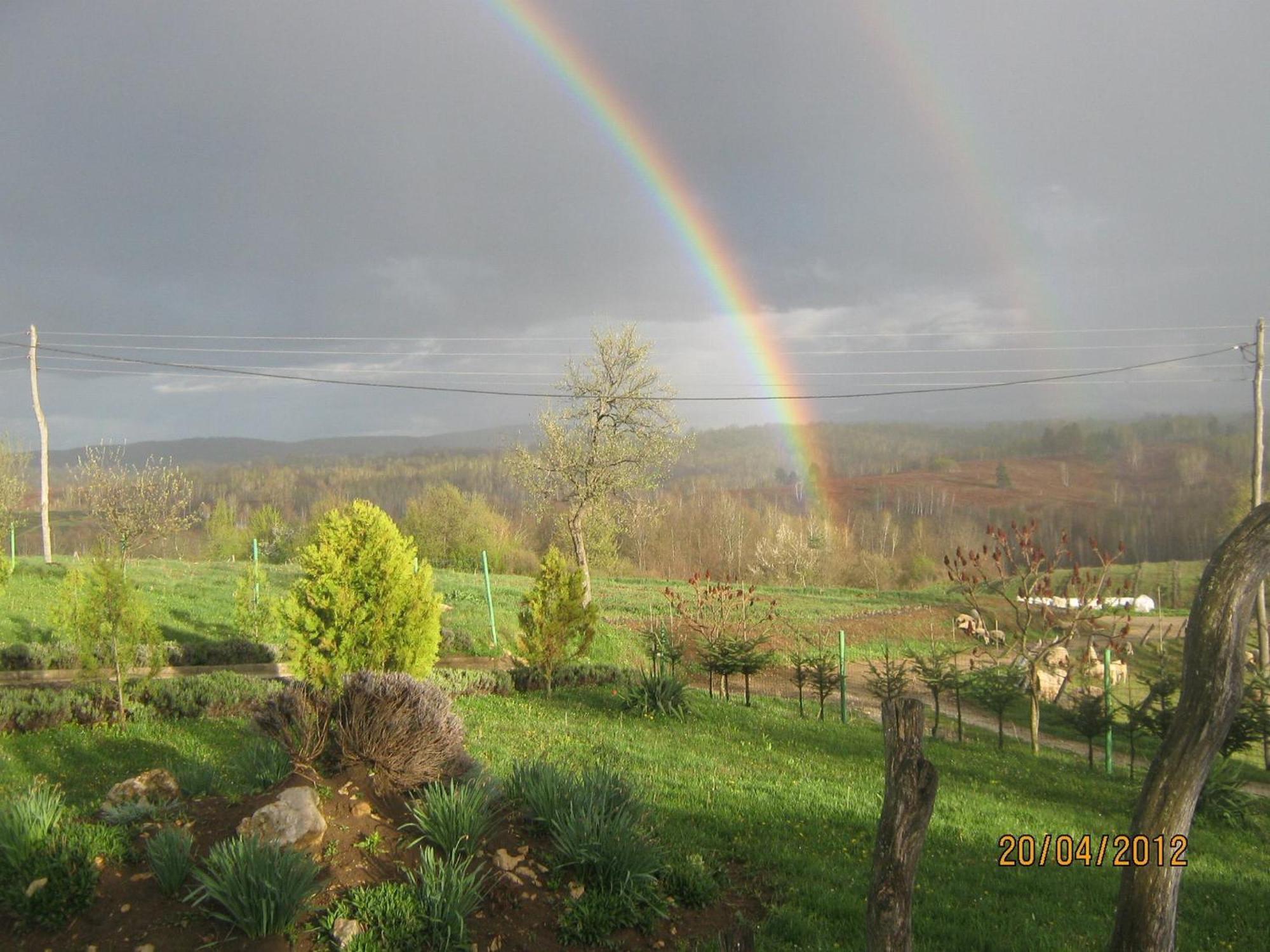 Lavanda Farm Apartmani Rakovica Buitenkant foto