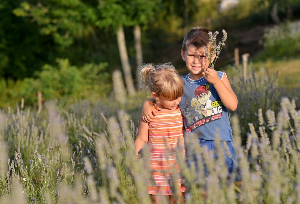 Lavanda Farm Apartmani Rakovica Buitenkant foto