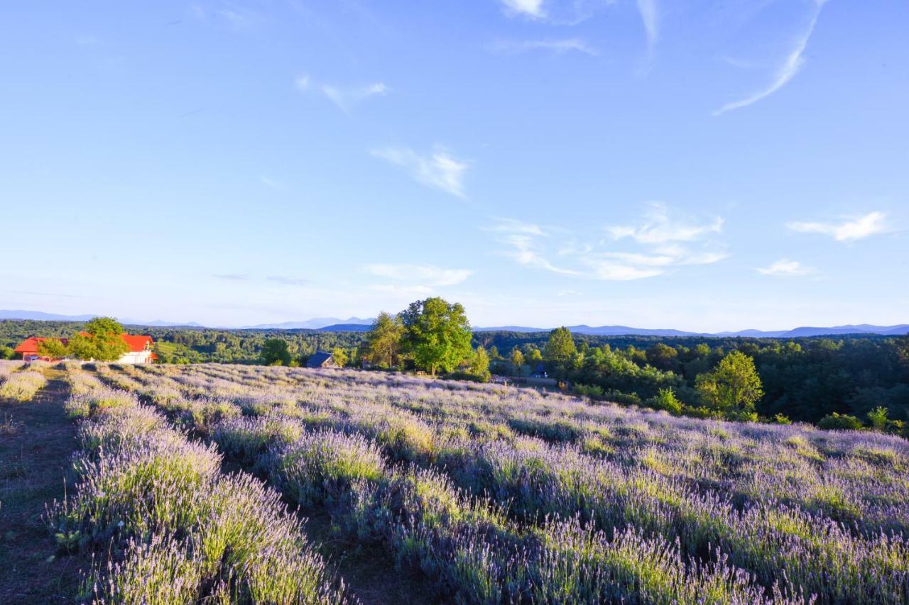 Lavanda Farm Apartmani Rakovica Buitenkant foto