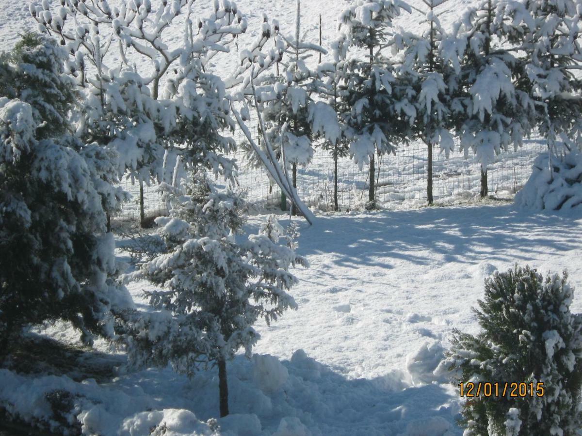 Lavanda Farm Apartmani Rakovica Buitenkant foto