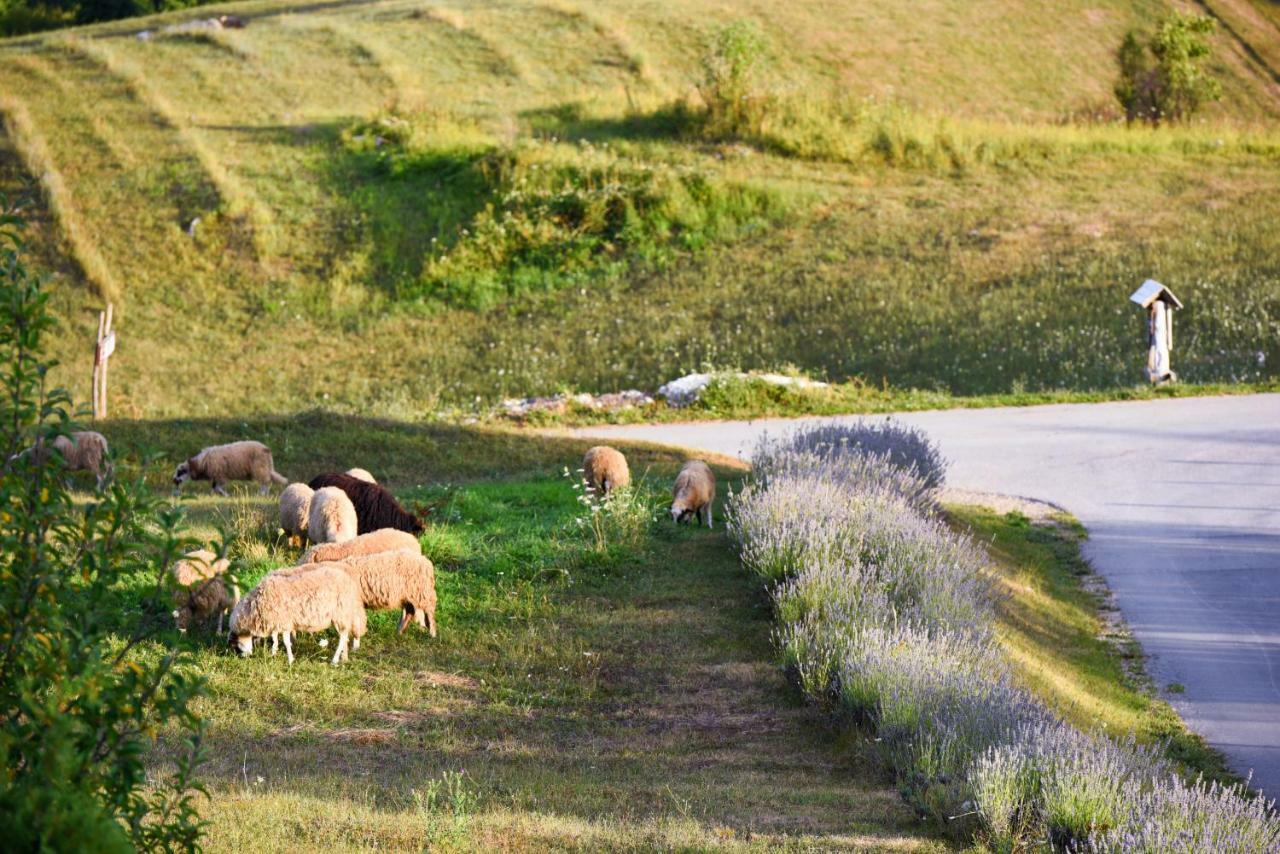 Lavanda Farm Apartmani Rakovica Buitenkant foto