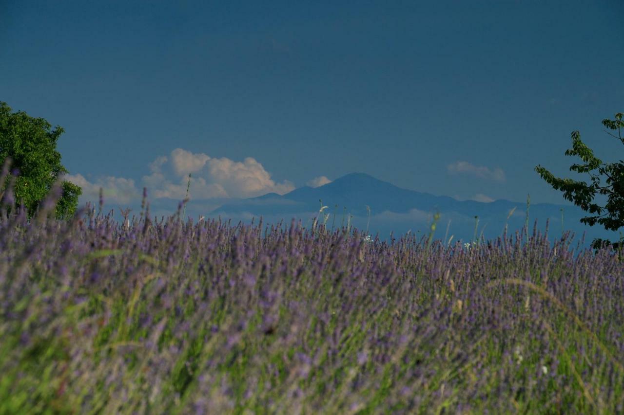 Lavanda Farm Apartmani Rakovica Buitenkant foto