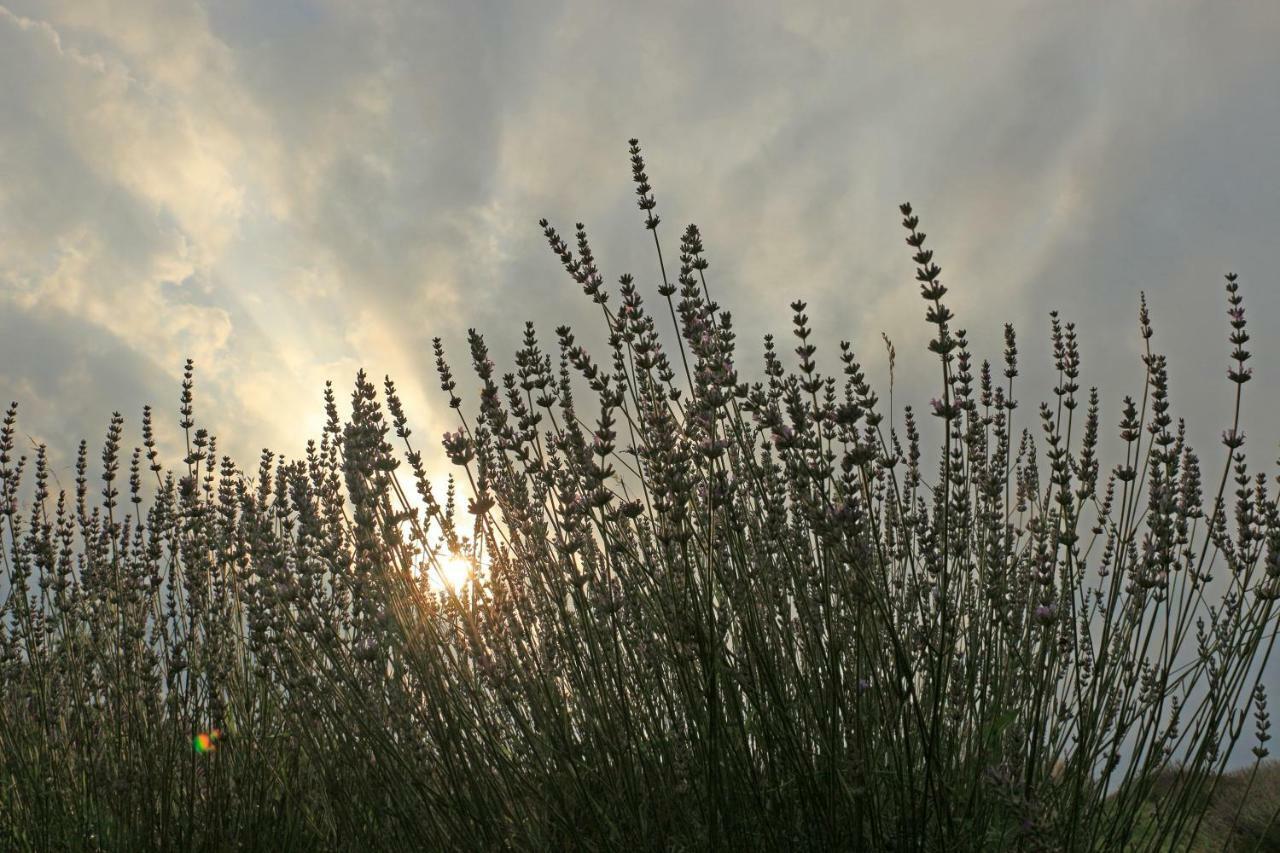 Lavanda Farm Apartmani Rakovica Buitenkant foto