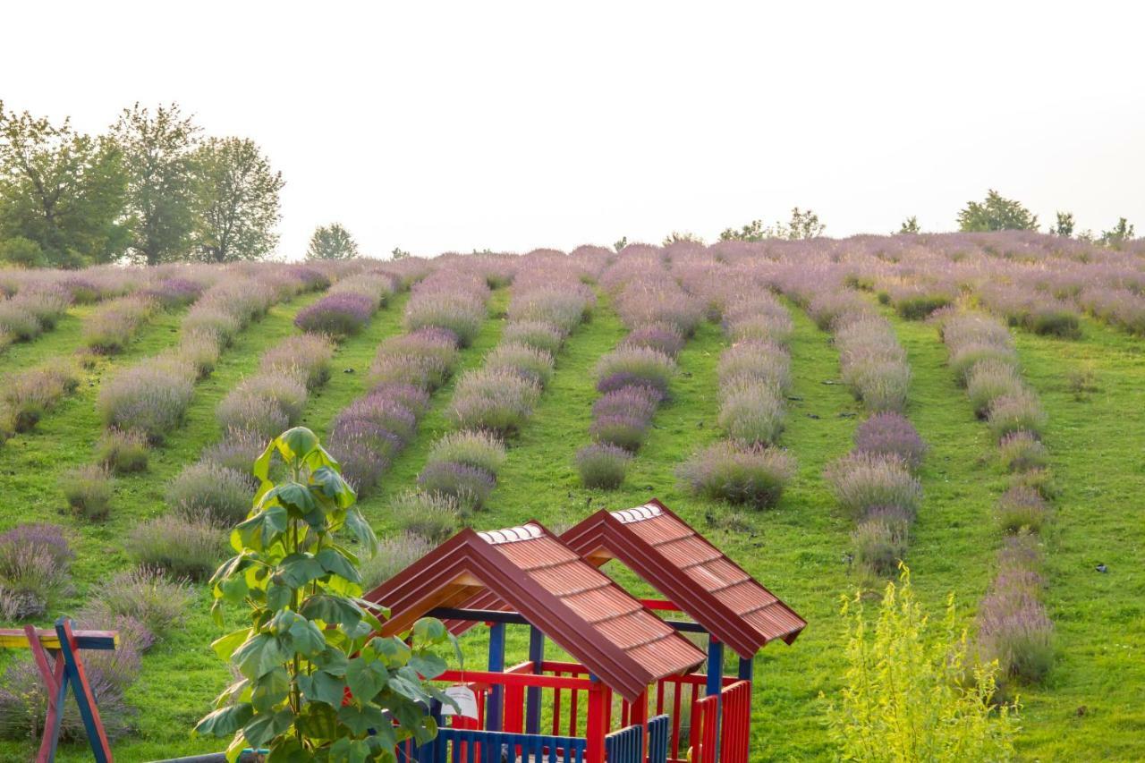 Lavanda Farm Apartmani Rakovica Buitenkant foto