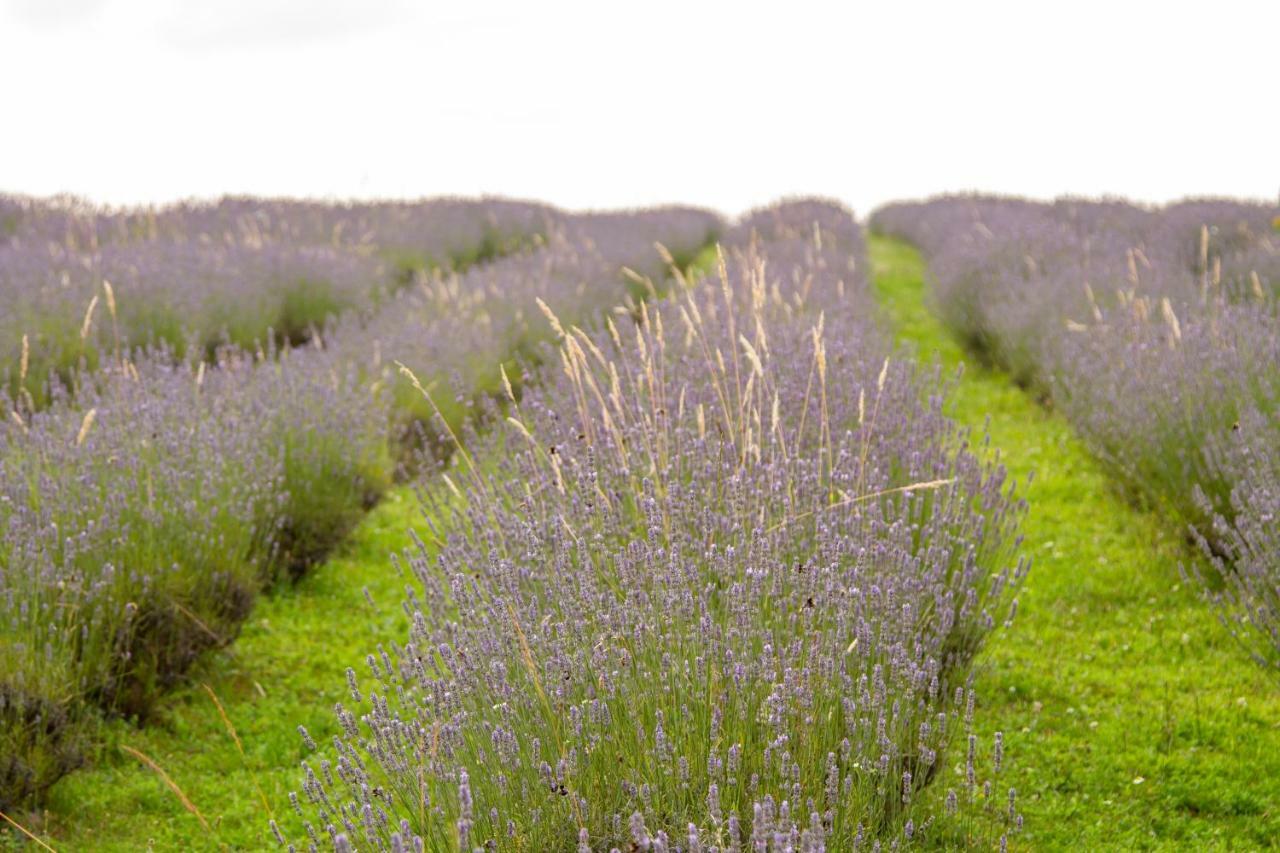 Lavanda Farm Apartmani Rakovica Buitenkant foto
