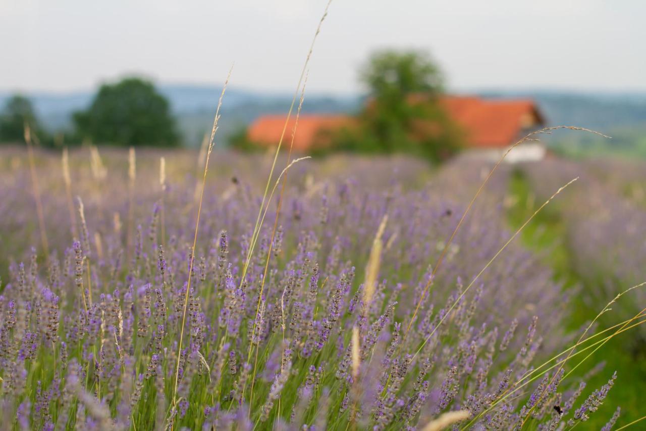 Lavanda Farm Apartmani Rakovica Buitenkant foto